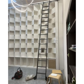 ALDD-ZN22-书柜爬梯滑动